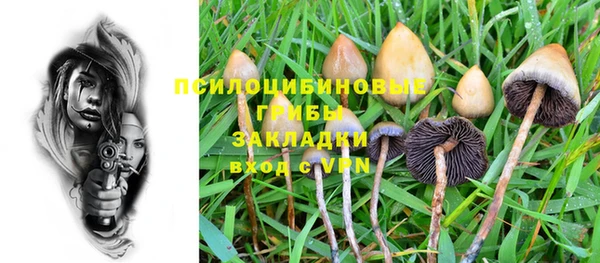 ешки Балахна
