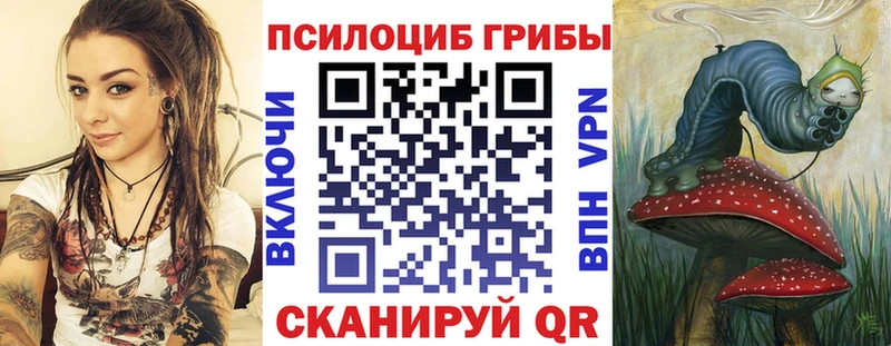 ОМГ ОМГ онион  Сегежа  Псилоцибиновые грибы Psilocybe  как найти наркотики 