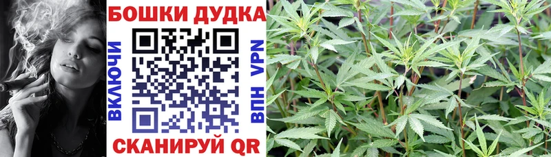 Канабис SATIVA & INDICA  дарнет шоп  Сегежа 